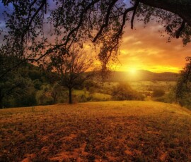 Capturing timeless emotions through natural light and fine art composition.