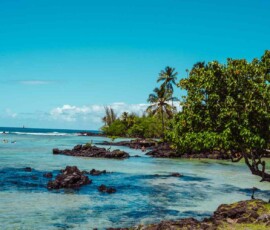 Capturing timeless emotions through natural light and fine art composition